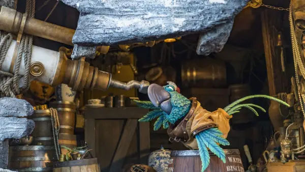 More Details: 'Miss Adventure Falls' at Disney's Typhoon Lagoon