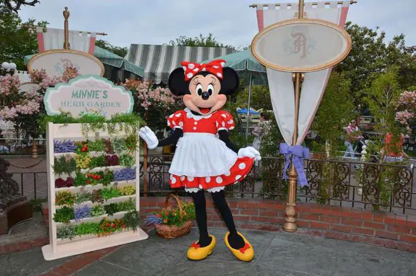 LIMITED TIME: Garden Photos With Minnie Mouse at Disneyland Park's Plaza Inn Breakfast