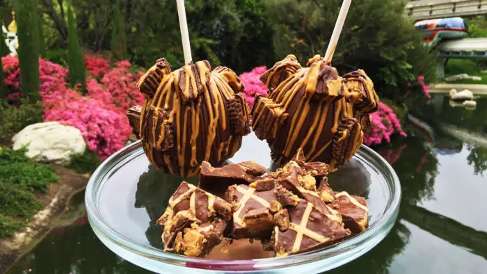 Chocolate and Peanut Butter Cup Gourmet Apple