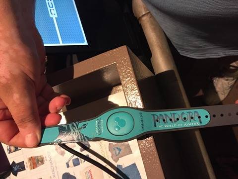 New Pandora MagicBand 2 Designs, Including Passholder Limited Edition