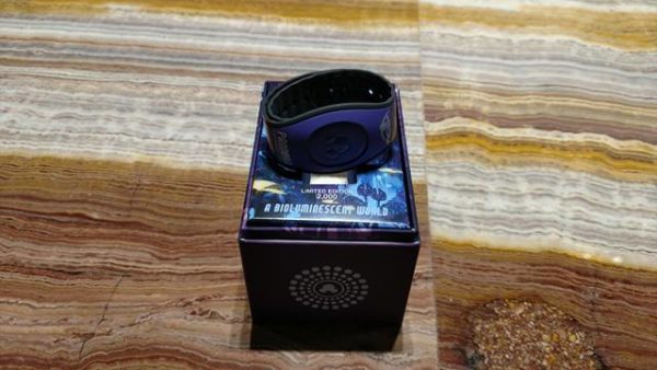 New Pandora Spotted and Limited Edition Magic Bands now Available