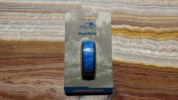 New Pandora Spotted and Limited Edition Magic Bands now Available
