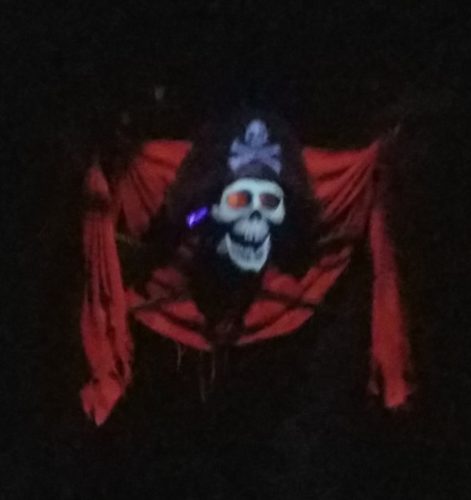 Pirates of the Caribbean Adds On-Ride Photo and Returns Talking Skull