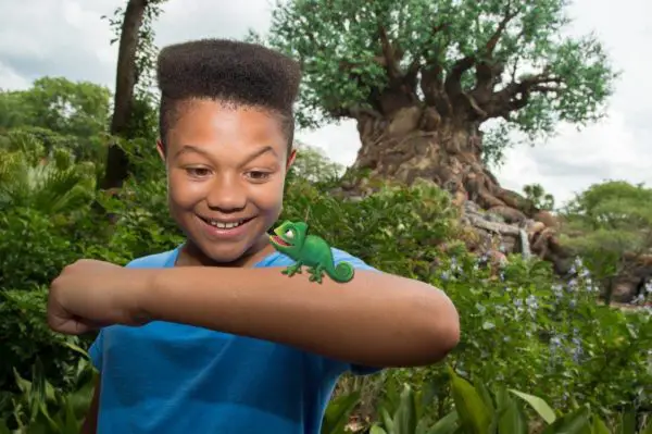 Complete List of Magic Shots Available at Animal Kingdom