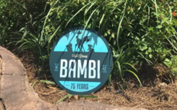 Celebrate Bambi's 75th Anniversary with Limited Edition PhotoPass Opportunities at Disney's Animal Kingdom
