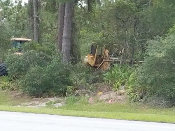 First Photos of Land Being Cleared for New 'Guardians of the Galaxy' Ride at Epcot