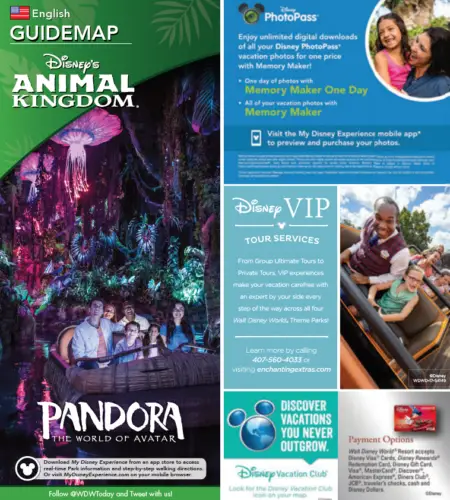 New Animal Kingdom Guidemaps Will Be Available September 12