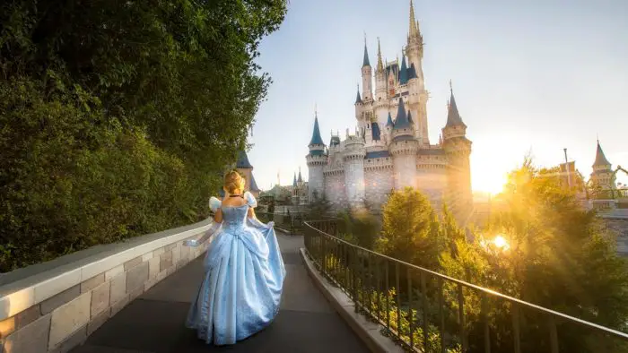 Cinderella Castle Suite