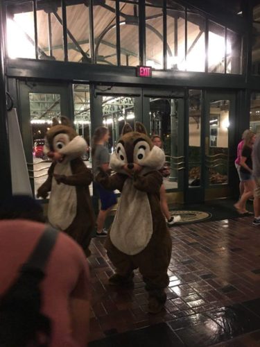 How Disney is Taking Care of Guests During Hurricane Irma
