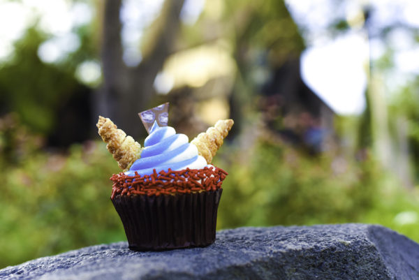 Epcot Celebrates 35 Years with Special Cupcakes at Epcot International Food & Wine Festival