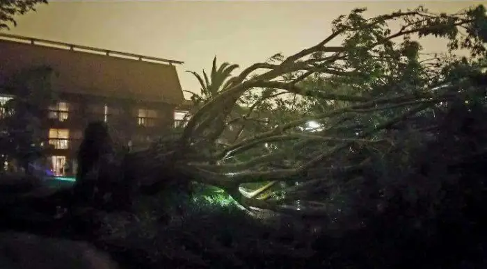 PHOTOS: Aftermath of Hurricane Irma at Walt Disney World