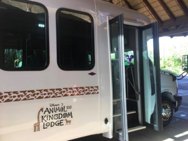 New Internal Bus Service Added Between Jambo House and Kidani Village at Animal Kingdom Lodge