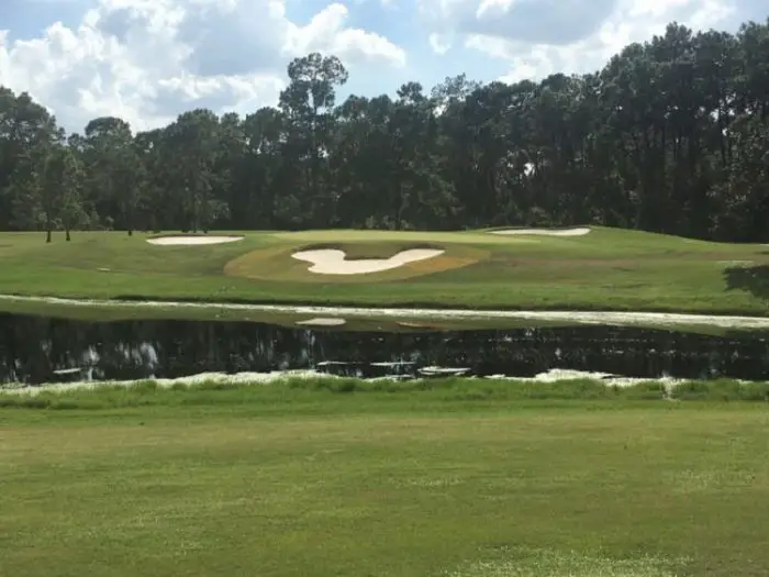 Mickey Mouse Bunkers