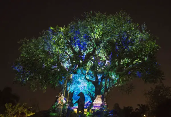 Disney's Animal Kingdom Schedule Altered Due to Filming on November 4