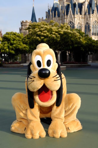 Celebrate the Year of the Dog with Pluto at Tokyo Disney Resort