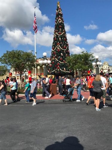 It's Beginning to Look a Lot Like Christmas at the Magic Kingdom!