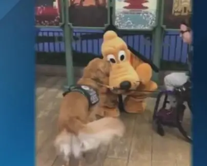Pluto Meets a Service Dog at Epcot