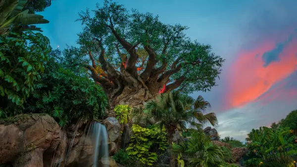 18 Reasons to Visit a Disney Destination in 2018