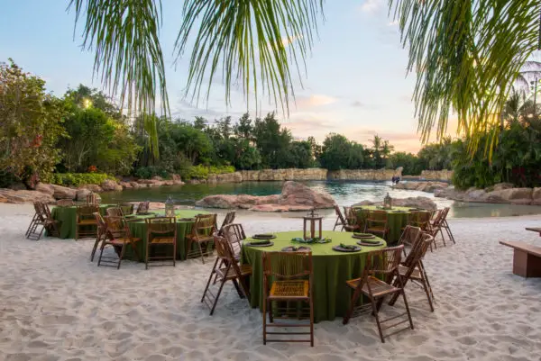 Dine Alongside Dolphins During Discovery Cove's Paradise Nights