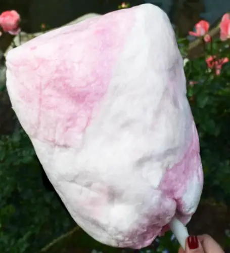 Fall in Love with Cherry Vanilla Cotton Candy in Disneyland!