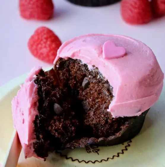 Raspberry Chocolate Chip Cupcake from Sprinkles in Disney Springs