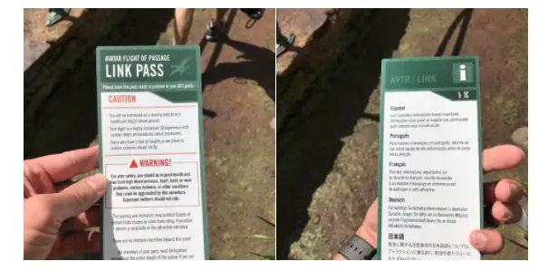 New Warning Cards Are Being Given To Flight of Passage Riders