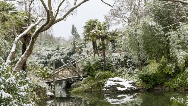 PHOTOS: Disneyland Paris Covered In Snow Creates Magical Photos