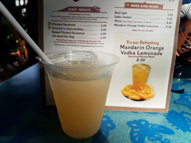 Cool Off with a Mandarin Orange Vodka Lemonade at Flame Tree Barbecue in Animal Kingdom