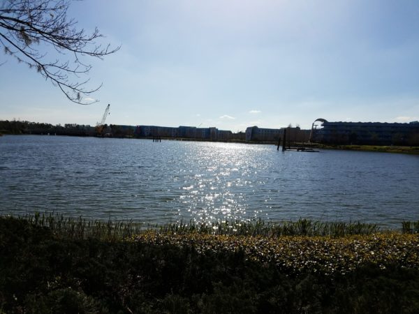 Disney Skyliner Construction Pictures from Pop Century Area