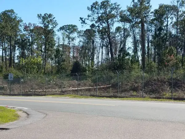 Photos: Disney is Clearing Trees to Begin Tron Construction