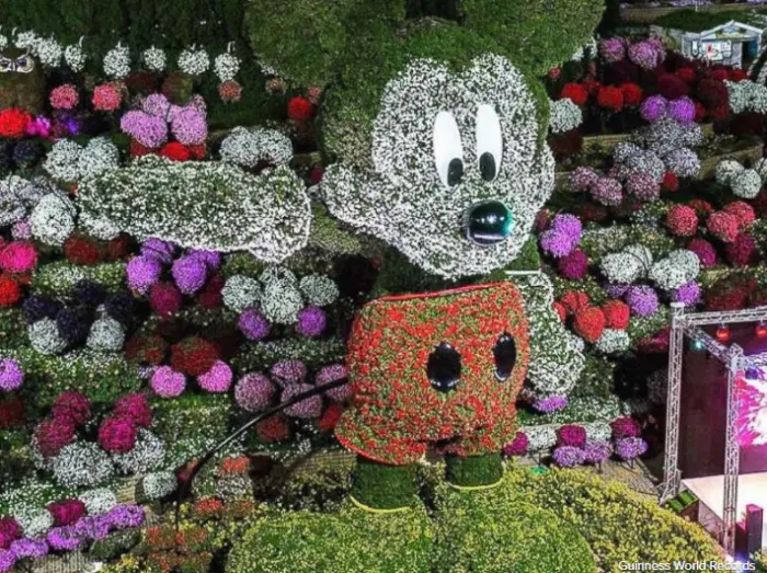 Mickey Mouse Topiary Broke the Guinness World Record