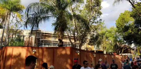 PHOTOS: Construction Progress For New Russel and Dug Bird Show At Animal Kingdom