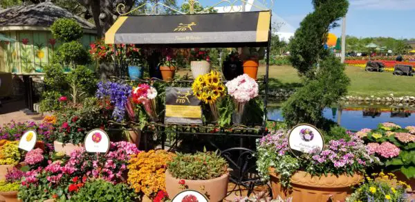 Festival Blooms - Presented by FTD® Adds Color to the Flower & Garden Festival