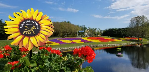 Festival Blooms - Presented by FTD®