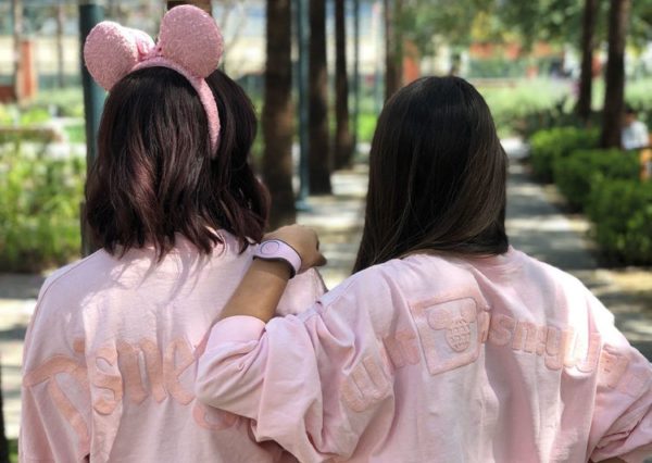 Millennial Pink Minnie Ears and Spirit Jerseys