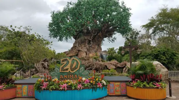 Disney's Animal Kingdom 20th Anniversary Celebration Review