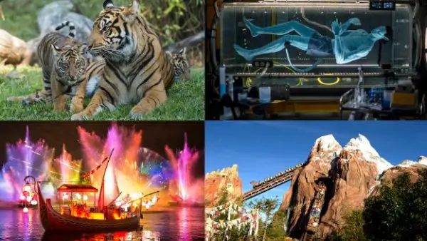 Animal Kingdom's 20th Anniversary Celebration to be Streamed on #DisneyParksLIVE