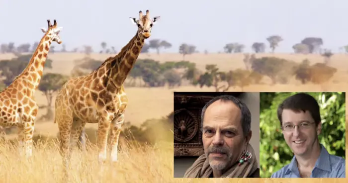 Visit Africa with Disney Imagineer Joe Rohde and Dr. Mark Penning
