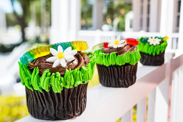 Dirt and Worms Chocolate Cupcake at Disney's Yacht and Beach Club Resorts